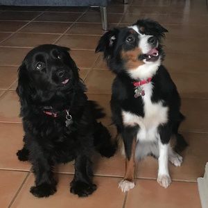 Meet your Posher, Deleri